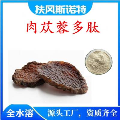 肉苁蓉多肽 斯诺特生物 蛋白质酶解工艺 压片糖果原料