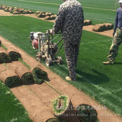 ����ݲ�ƺ����Ǯһƽ�� ***��ƺ ��Ƥ�� ����������