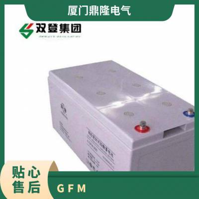 ˫12V65AHǦάش6-GFM-ֱUPSԴר