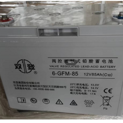 双登牌蓄电池阀控密封式 双登铅酸免维护电池 6-GFM-85（C20）