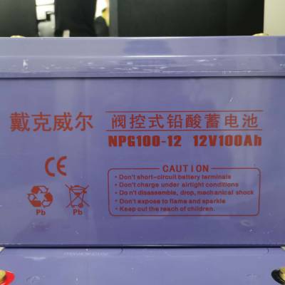 NPG100-12 12V100AH Ǧά Ϻֻ۸