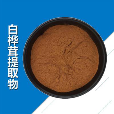 白桦茸提取物10:1 浓缩全水溶白桦茸提取粉 SC工厂多规格