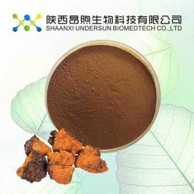 白桦茸多糖 昂煦定制白桦茸提取物 水溶性白桦茸粉