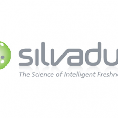 SILVADUR 930FLEX Чӷù