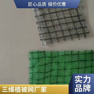 世杰绿化护坡三维植被网 塑料环保植草固土网垫 增加土体的抗剪强度