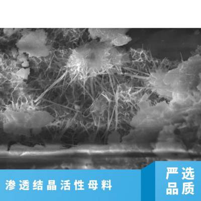 龙晨建筑材料防止冻融剥落风化物化反应深入混凝土内部水泥基渗