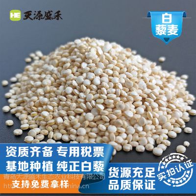 基地批发***白藜麦 进口品质藜麦米健康杂粮烘焙原料胚芽黎麦米