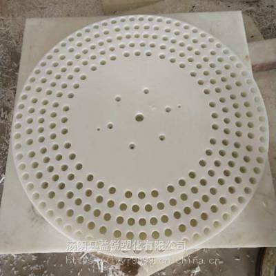 各种尺寸***分子聚乙烯压滤机滤板 PE圆型圆孔滤板 环保污水配件