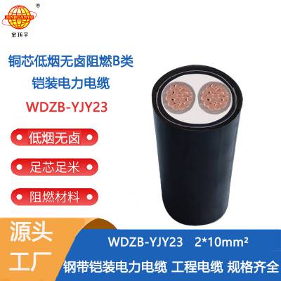 金环宇电线电缆 铠装电缆WDZB-YJY23-2X10平方 阻燃电缆 低烟无卤电缆