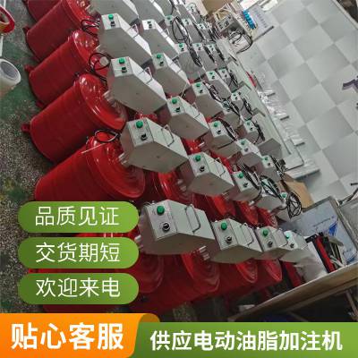 小型电动油脂加注机 机械维修操作简单黄油注入设备