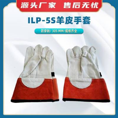 ILP-5SƤSalisburyҵԵƤ