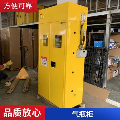 实验室全钢防爆气瓶柜 成霖支持定制-厂销售沈阳-哈尔滨-天津
