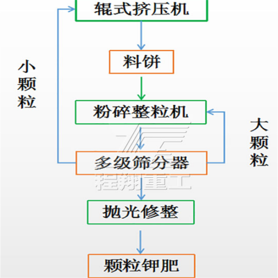 双螺杆挤压造粒机 氯化铵对辊挤压造粒机 对辊挤压造粒机的结构