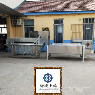 全自动鸽子烫毛脱毛一体机   广东清远杀鸽子脱毛成套设备