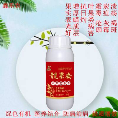 草莓花芽分化需要注意的问题