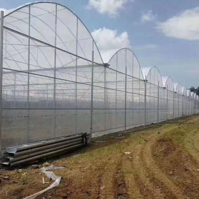 河北玻璃智能温室大棚设备 服务为先 广东三合重农科技供应