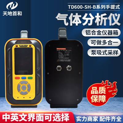 TD600-SH-B-SO2F2 泵吸式硫酰氟分析探测仪 手提式采样