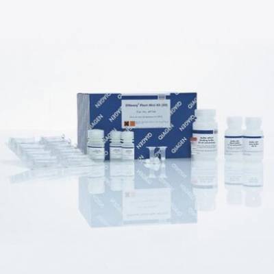 Qiagen 69106 ֲDNAСԼ 250T