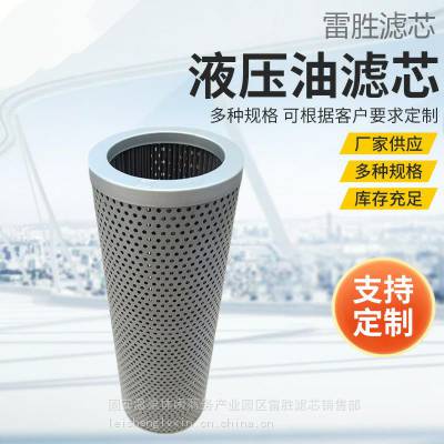 液压滤芯过滤器净化保养组件过滤器配件 雷胜 应用广泛