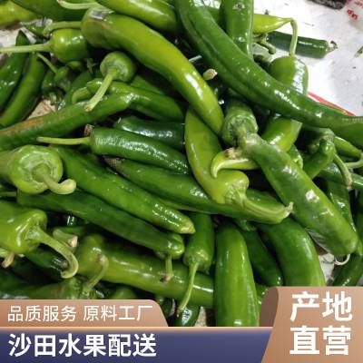 沙田镇海鲜蔬菜配送公司质量新鲜按需配送