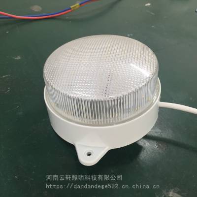 云轩照明批发各种低压36v24v高亮度冷冻库灯防水防潮防爆灯低温照明节能灯，质保三年