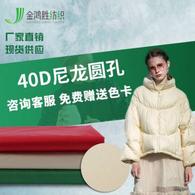 金鸿胜40D圆孔尼龙记忆 防水尼龙羽绒服面料 轻薄棉衣防晒衣布料