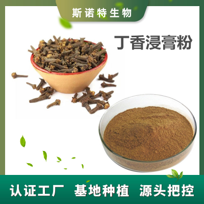 丁香浸膏粉 斯诺特生物 丁香提取物粉 可定制生产