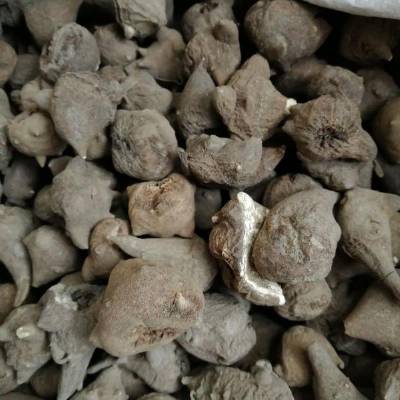 附子的功效与作用 黑附子片哪里可以购买到多少钱一公斤