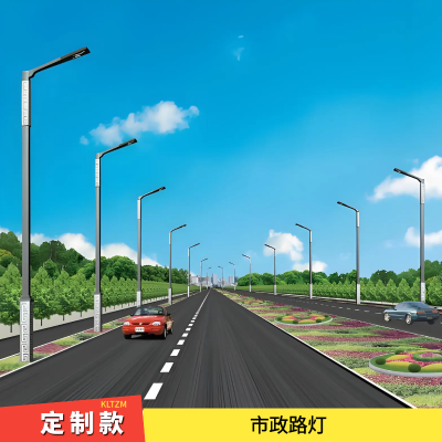 临沧道路工程路灯厂 市政220V照明 LED亮化产品供应