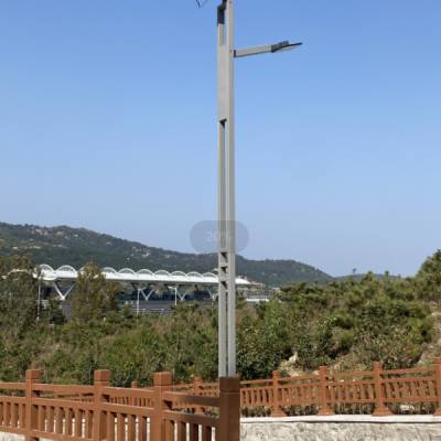 װʩ̫ܵLED·ͥԺƾ۵Ƹ߸˵Ʋƺܵǻ۶๦ܺϸ·ƳҰ