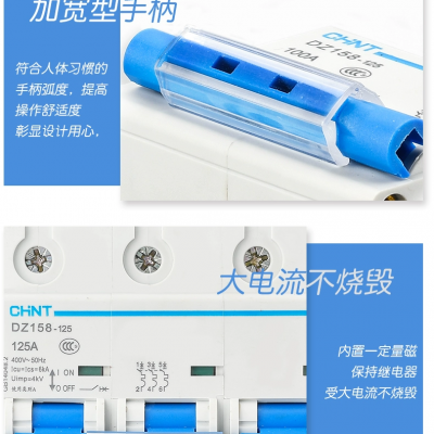 ̩©翪DZ158-125H/2P 80Aʣ·