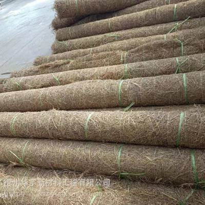 绿化植草毯 青海椰丝毯 西宁植物纤维毯-种子生根，植物生长，直到枝条和叶子伸长