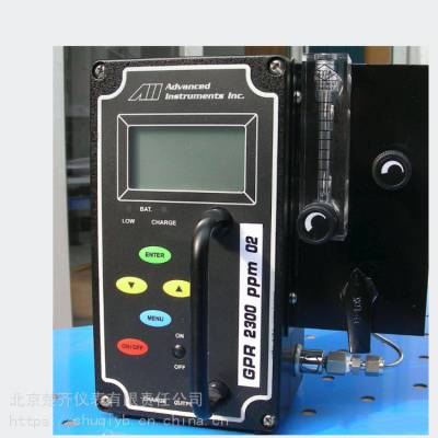 GPR-1100氧量分析仪美国AII