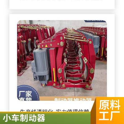 卷扬机构低速轴端 液压钳盘式制动器 SBD200-A进口密封件