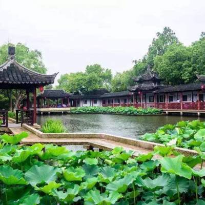 盐城市塑料浮岛 改造工程施工 建设生态浮岛
