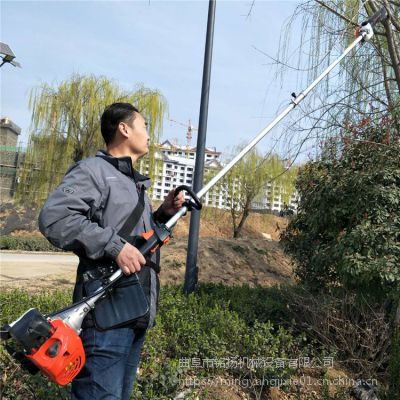 綯޼֦;ֱͶ֦