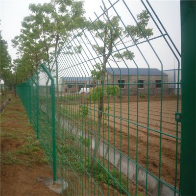 现货园林圈地双边丝护栏网 浸塑护栏网 水库专用隔离网厂家