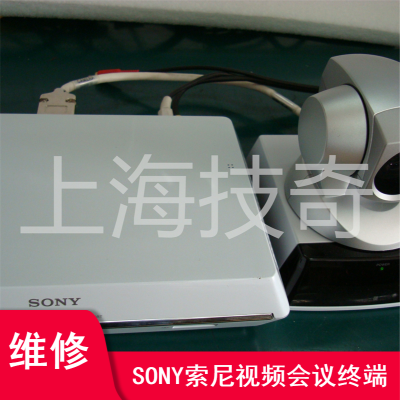 SONY BRC-X401Ƶͷά