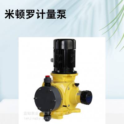 供应米顿罗计量泵GB0250TP1MNN，米顿罗加药泵，米顿罗计量泵