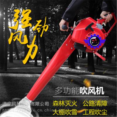 ԼͥԺʽѩ ĳʹ ¿·洵