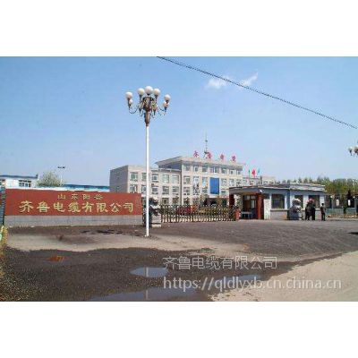 ӦPVC-1KV-MYJV22-4*50-ִװ³