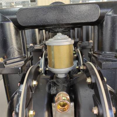 岽达矿用BQG200/0.4 气动隔膜泵能够抵抗高度真空按需定制