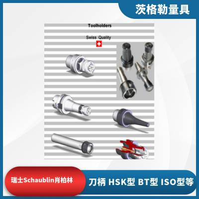 ʿSCHAUBLINФ  HSK BT ***͵ȵͲȫ