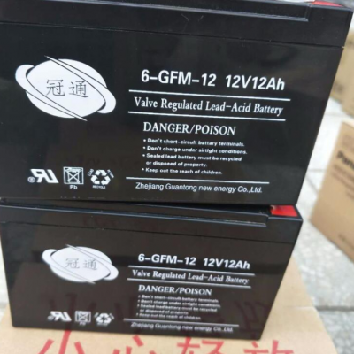 ͨ6-GFM-12㽭ͨ12V12AHά