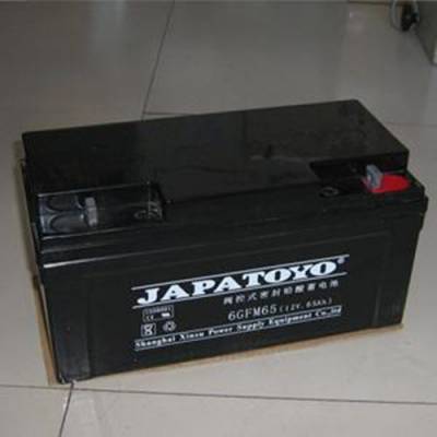 12V100AH 6GFM100 Ǧά ̫ UPS EPS