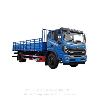 东风9米DV3/T3/T710平板教练车 B2驾校训练车考试车