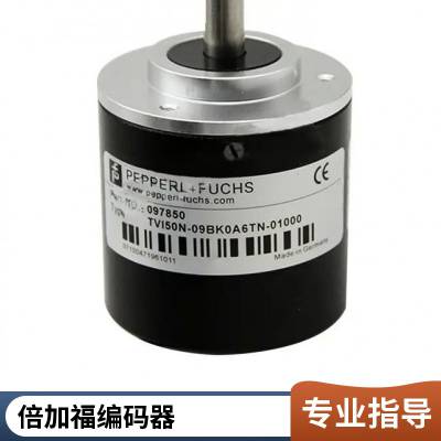 ӸPSM58N-F3AAGR0BN-1213¹P+F