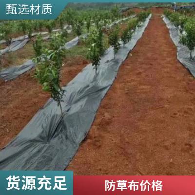 辽宁果树防草布 透气透水性好 承受力好 防止地面产生杂草