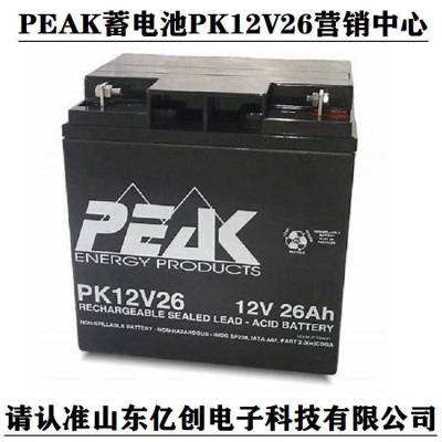 PEAK蓄电池PK12V17 12V17AH铅酸储能型产品 营销中心