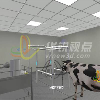 VR兽医针灸虚拟仿真教学，3d微创手术模拟训练系统，深圳华锐视点